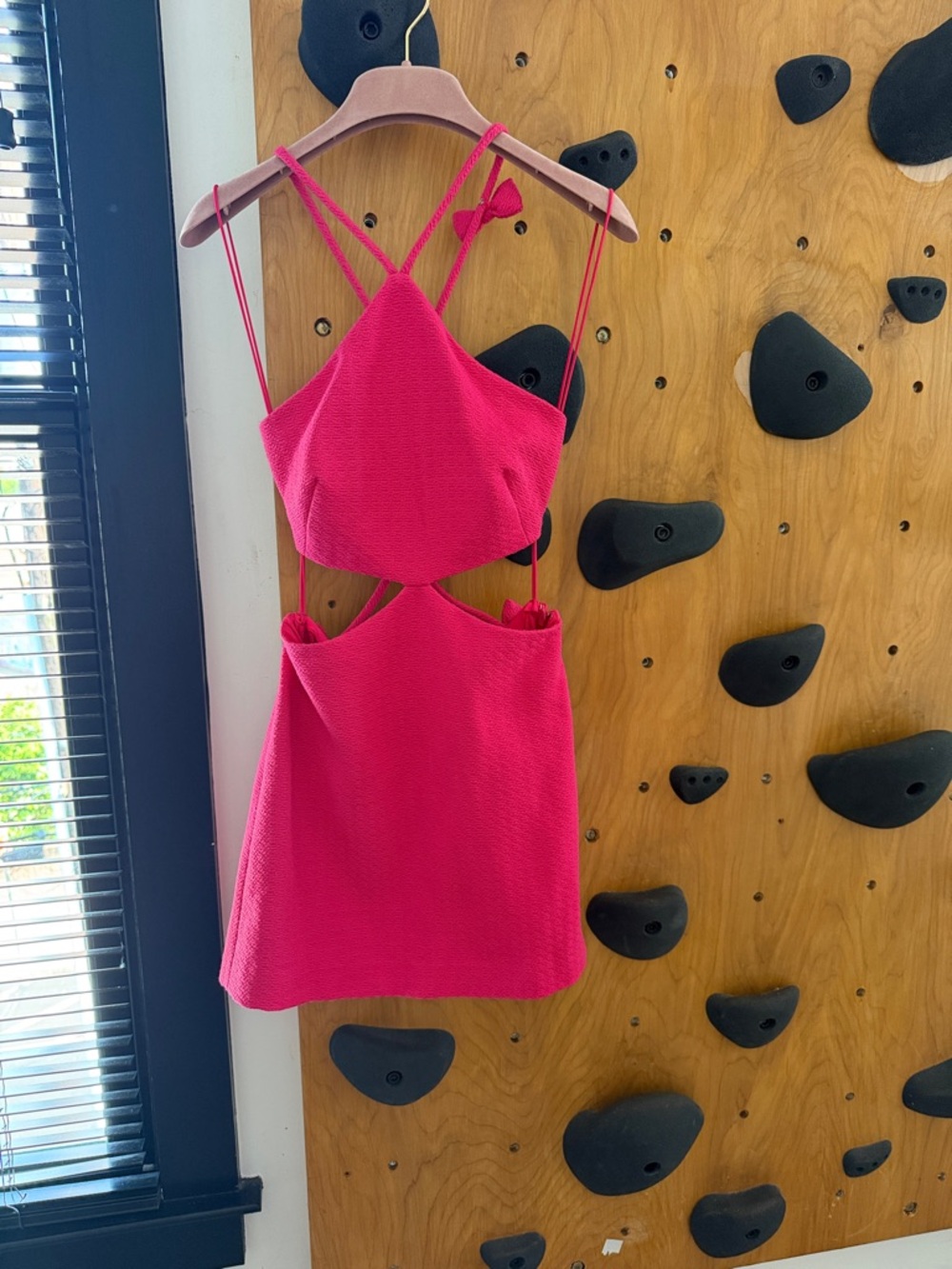 Alexis Chella Mini Dress in Rose